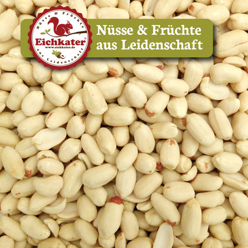 Erdnusskerne erdnüsse - erdnusskerne, /