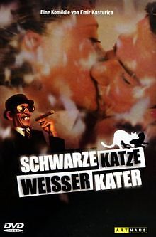 Schwarze katze weißer kater - schwarze, katze,