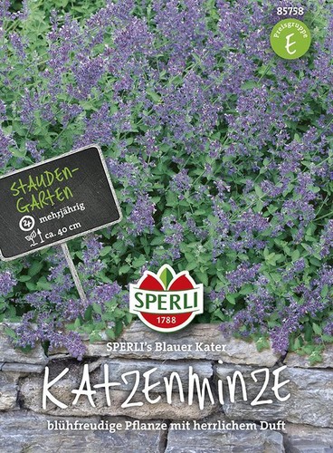 Katzenminze sperling s - katzenminze,, sperling´s