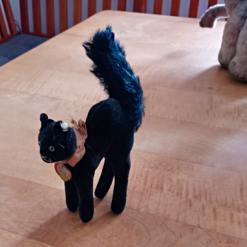 Kater tom - kater,
