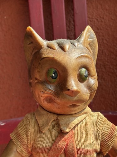 Teddy hermann hirschaid - hirschaid, kater