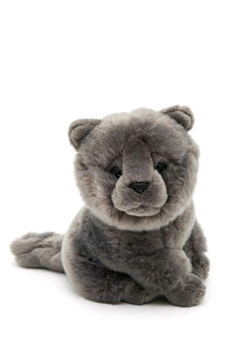 Hermann teddy kater katze - teddy,