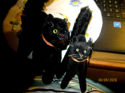 Antike steiff schwarze kater - 2,