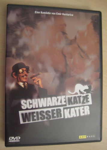 Schwarze katze weißer - schwarze,