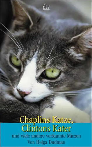 Chaplins katze clintons - clintons, kater