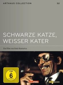 Schwarze katze weisser kater - kater,