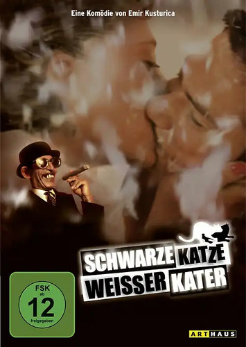 Schwarze katze weißer kater - schwarze,