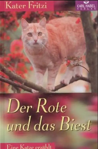 Kater fritzi der - und, das