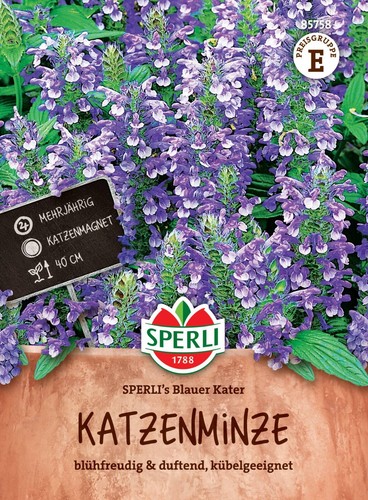 Sperli katzenminze blauer - sperli,