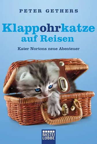 Klappohrkatze auf reisen - klappohrkatze,