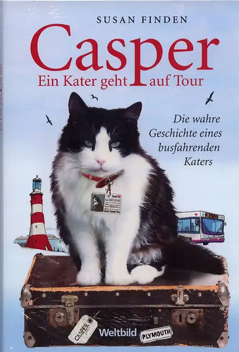 Casper ein kater - ein,